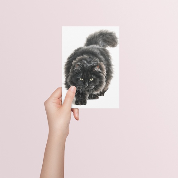 Watercolor Siberian Black Cat Art Print Illustartion - Pet Portrait - Unframed - Picture 5 of 6